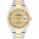 Rolex Datejust 36mm Champagne Palm Dial Oyster 126233-0038 Unworn Watch Complete