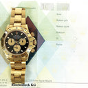 Rolex Daytona 116528 Black Paul Newman Cosmo Yellow Gold Oyster Bracelet Watch 2006