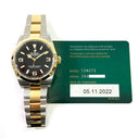 Rolex Explorer 36 Gold and Steel 124273 Black Arabic/Index Dial Oyster Watch 2022