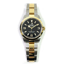 Rolex Explorer 36 Gold and Steel 124273 Black Arabic/Index Dial Oyster Watch 2022