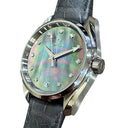 Omega Seamaster Aqua Terra  231.13.39.21.57.001 Stainless Steel with Black Leather Watch