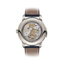 Patek Philippe Grand Complications 5316/50P-001 Blue/Black-gradient Dial Platinum Watch