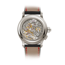 Patek Philippe Grand Complications 5373P-001 Gray Dial Platinum Watch