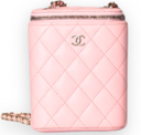 Chanel - Sakura Pink Caviar Vertical Vanity Bag with Chain