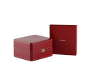 Cartier Panthere W2PN0006 22 mm Yellow Gold And Steel Case Silver Dial Watch 2024